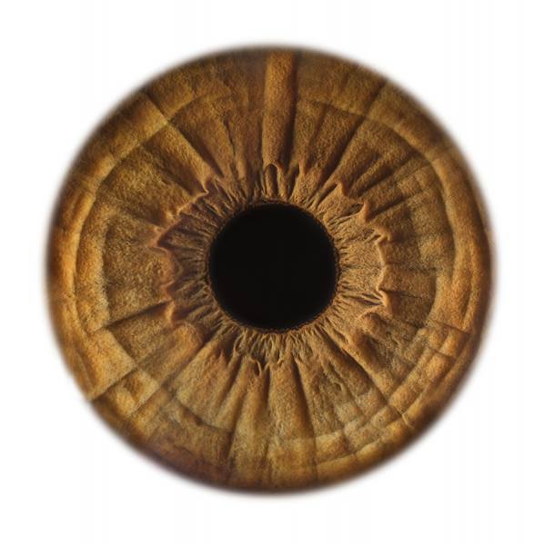 Photograph Jonathan Knowles Vision Express 5 on One Eyeland